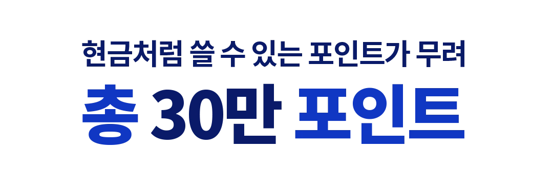 현금처럼 쓸 수 있는 포인트가 무려 총 30만 포인트
